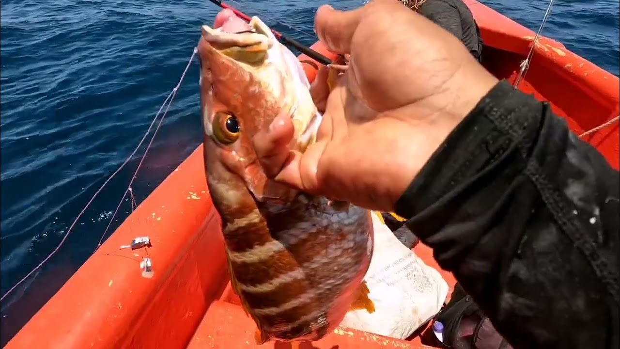 Pescando en bote serca de la playa de bani 