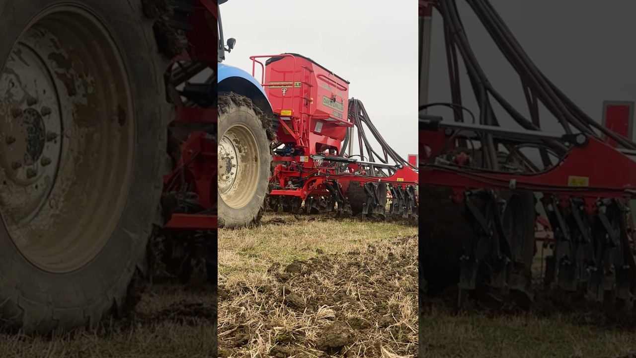 Dale drill 6m eco M planting wheat and barley! Super machine! #farming #tractor