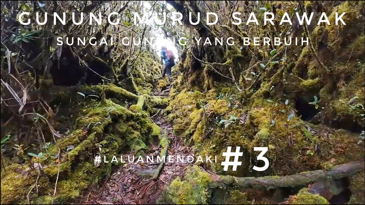 Gunung Murud,Sarawak | Ep 3 #LaluanMendaki #gengEKSpidiSI