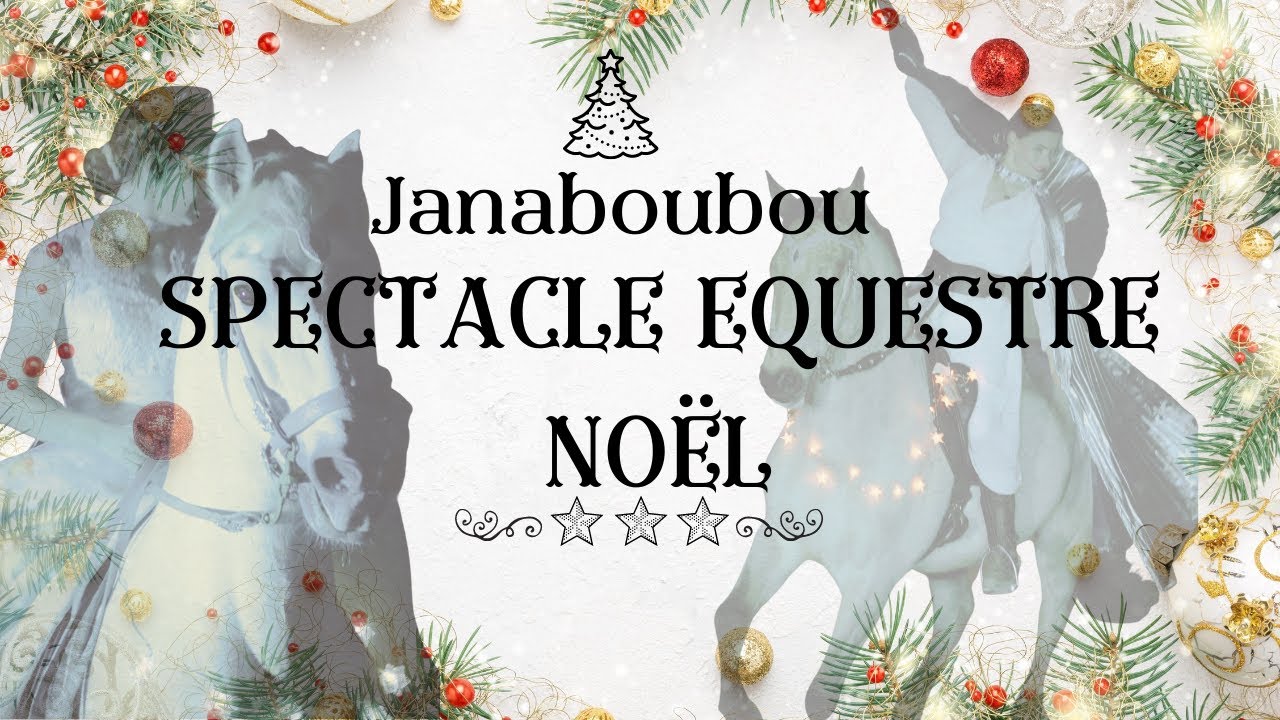 Spectacle Equestre No&euml;l