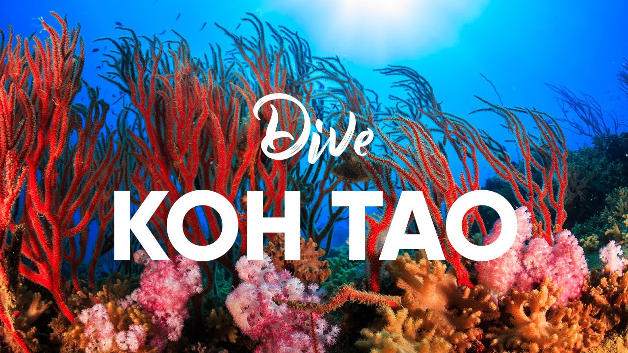 Koh Tao, Thailand - Great Diving, Fun Lifestyle, Activities Galore