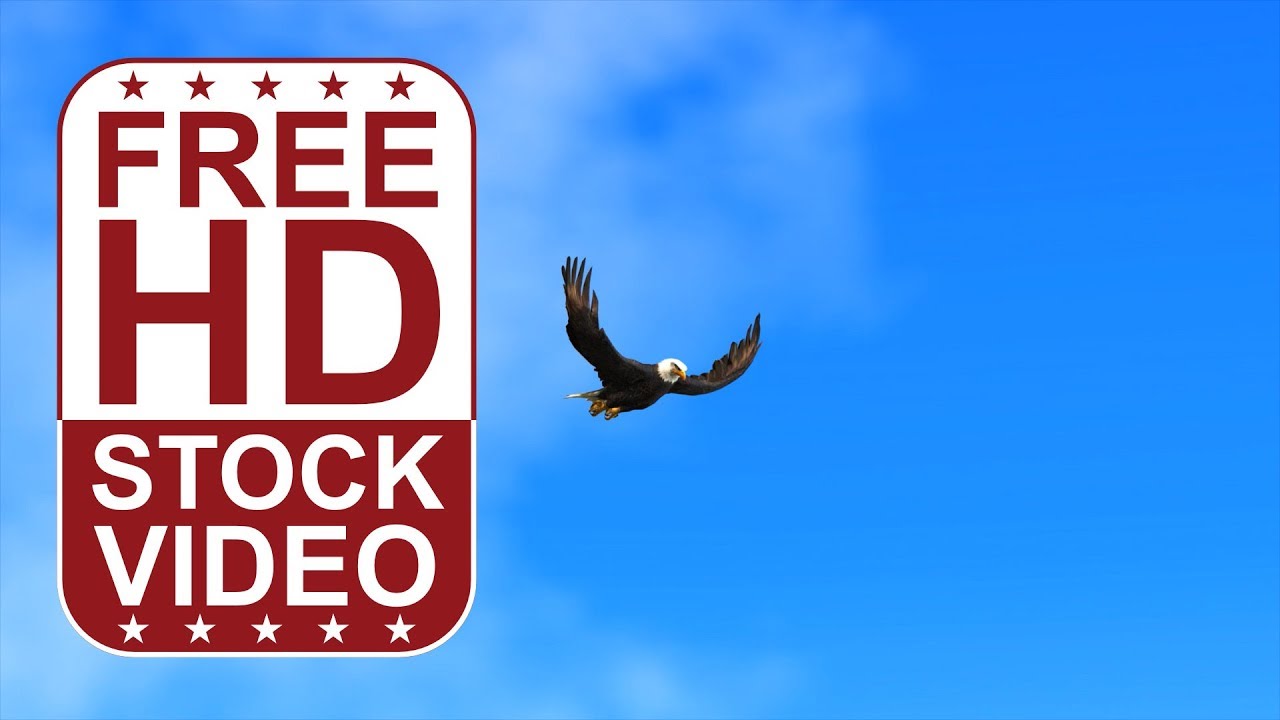 Free Stock Videos &ndash; eagle flying flapping wings on blue sky 3D animation