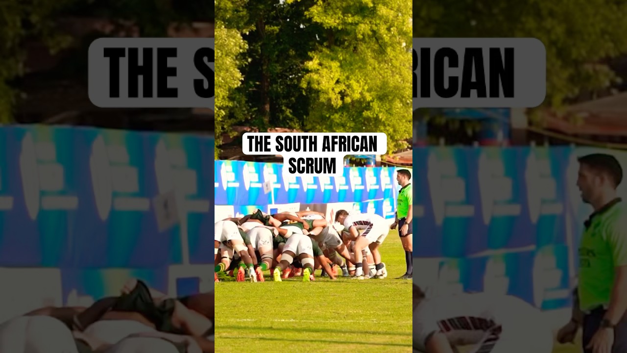 The South African scrum😤#rugby #southafrica #springboks #riseofrugby #rugbyteam #shorts #fyp