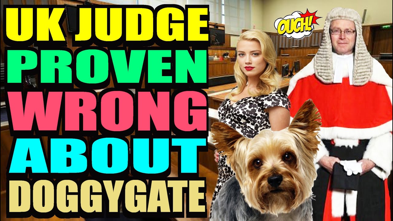 Johnny Depp Case UK Judge Found WRONG on Doggygate!