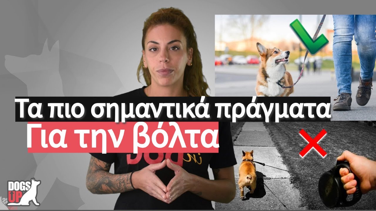 Τα πιο σημαντικά πράγματα που πρέπει να γνωρίζουμε για την βόλτα