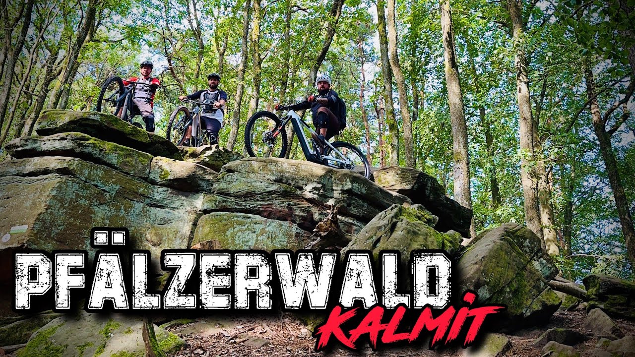Pfälzerwald Kalmit MTB Felsenmeer Enduro Tour über die Engelsleiter zum Hilschweiher