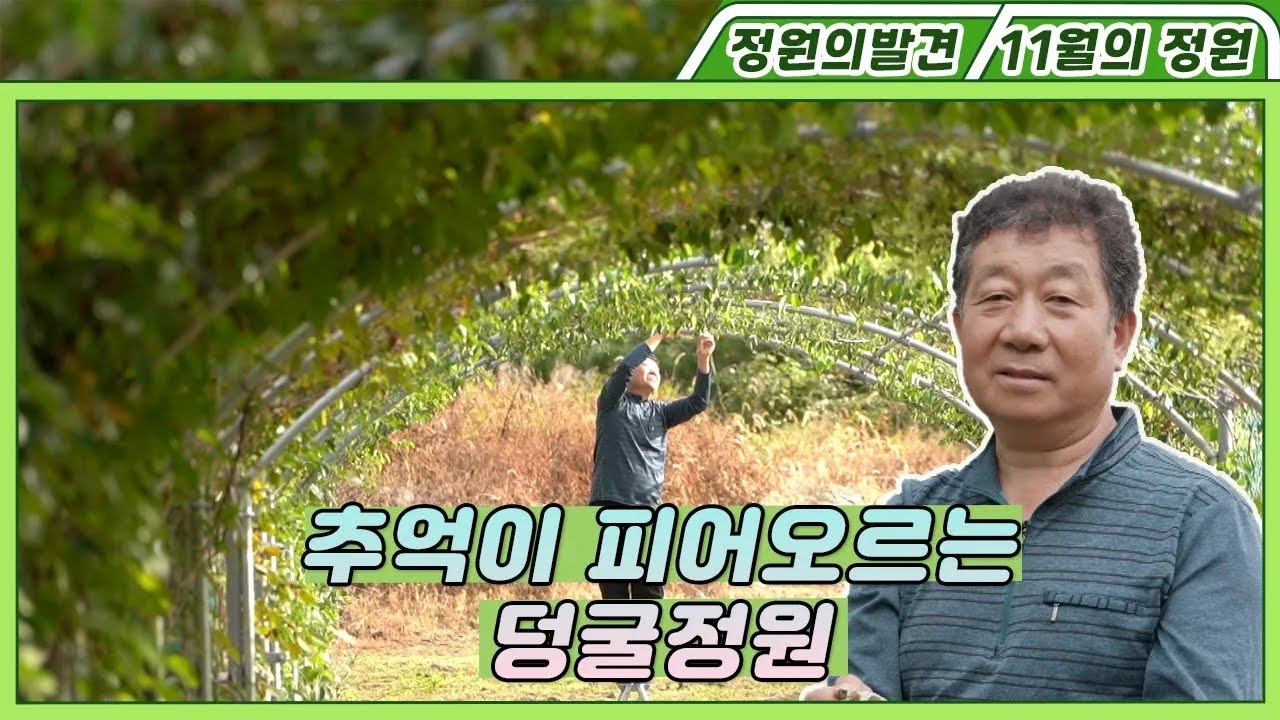 내겐 너무 소중한 덩굴의 가을 정원 Autumn Garden of Vine Plants | 정원의 발견 Wonders of Garden | KBS제주 20211022 방송