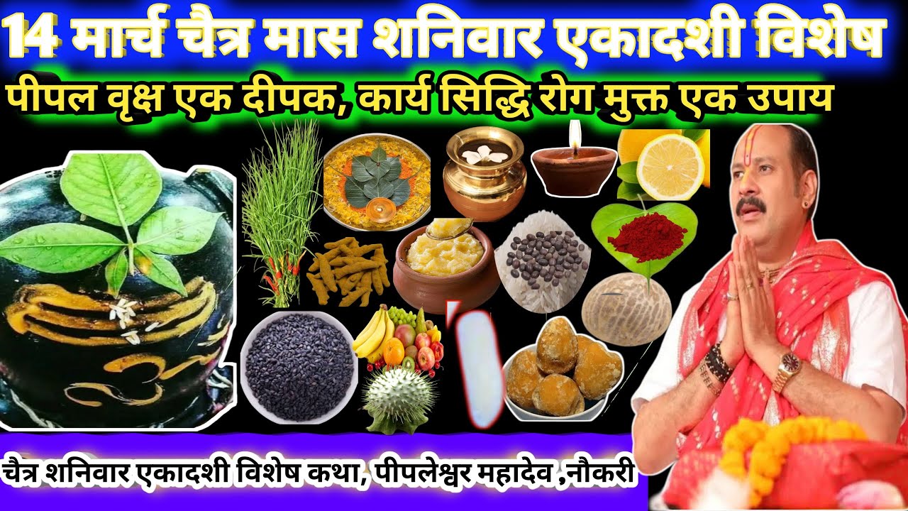 14 मार्च शनिवार एकादशी तिथि विशेष, पीपल वृक्ष एक दीपक, कार्य सिद्धि उपाय🌿🪔#upay,#shiv#viral#trending