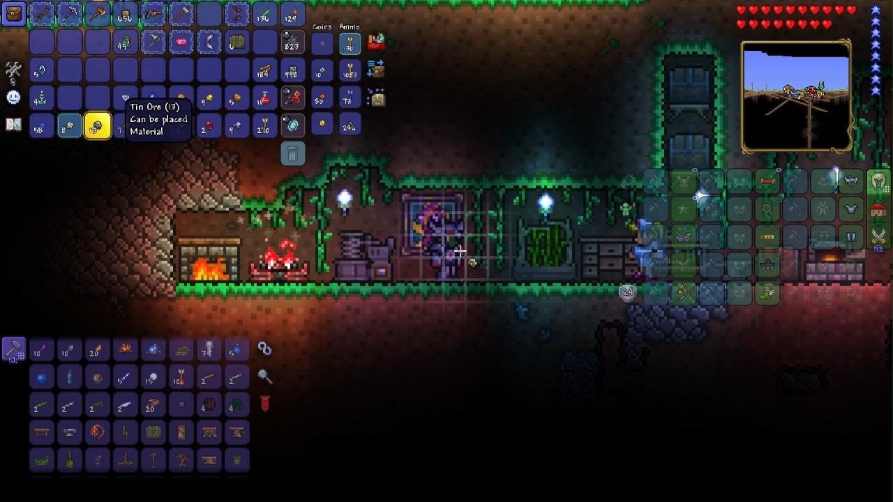 We in Terraria 17