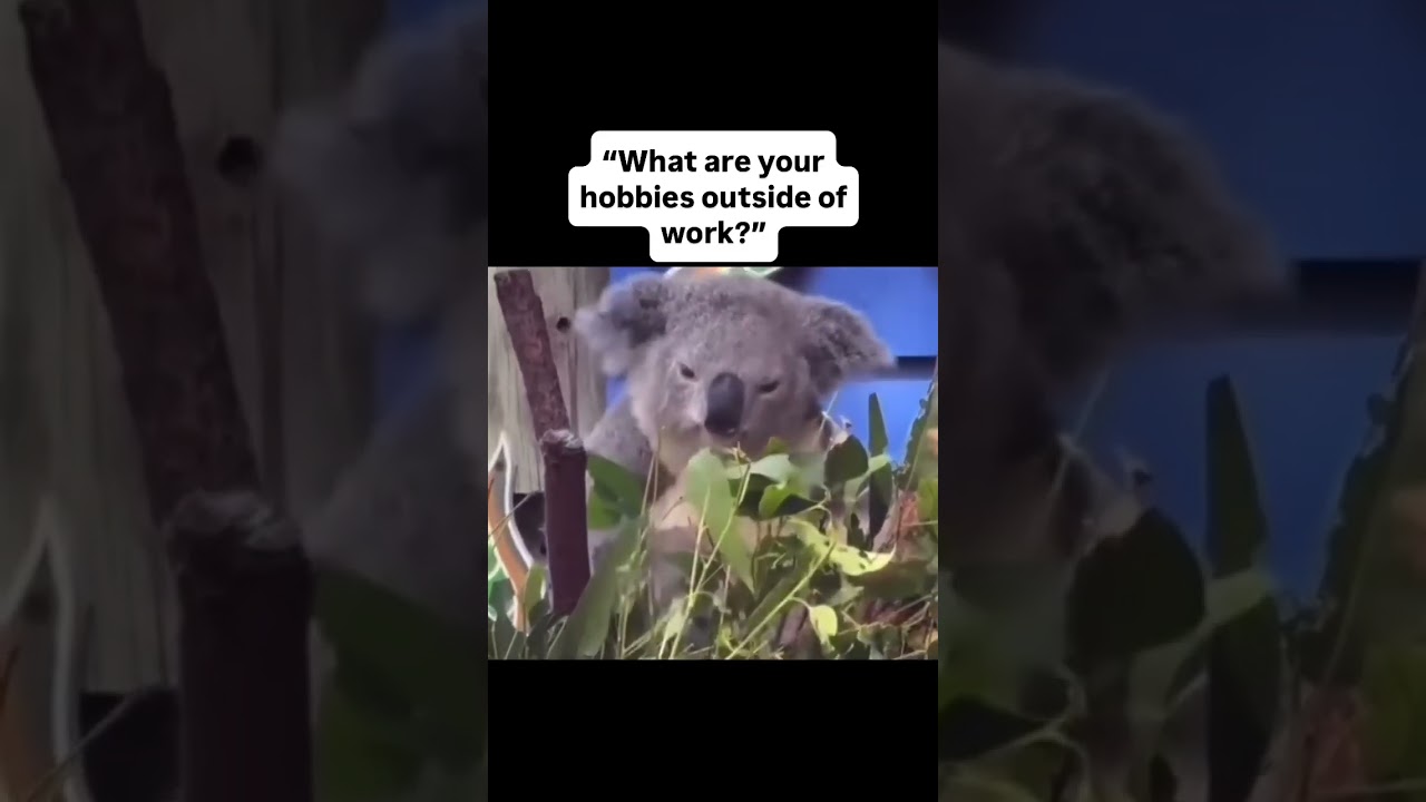 So, What Are Your Hobbies Outside Of Work? #funnyvideo