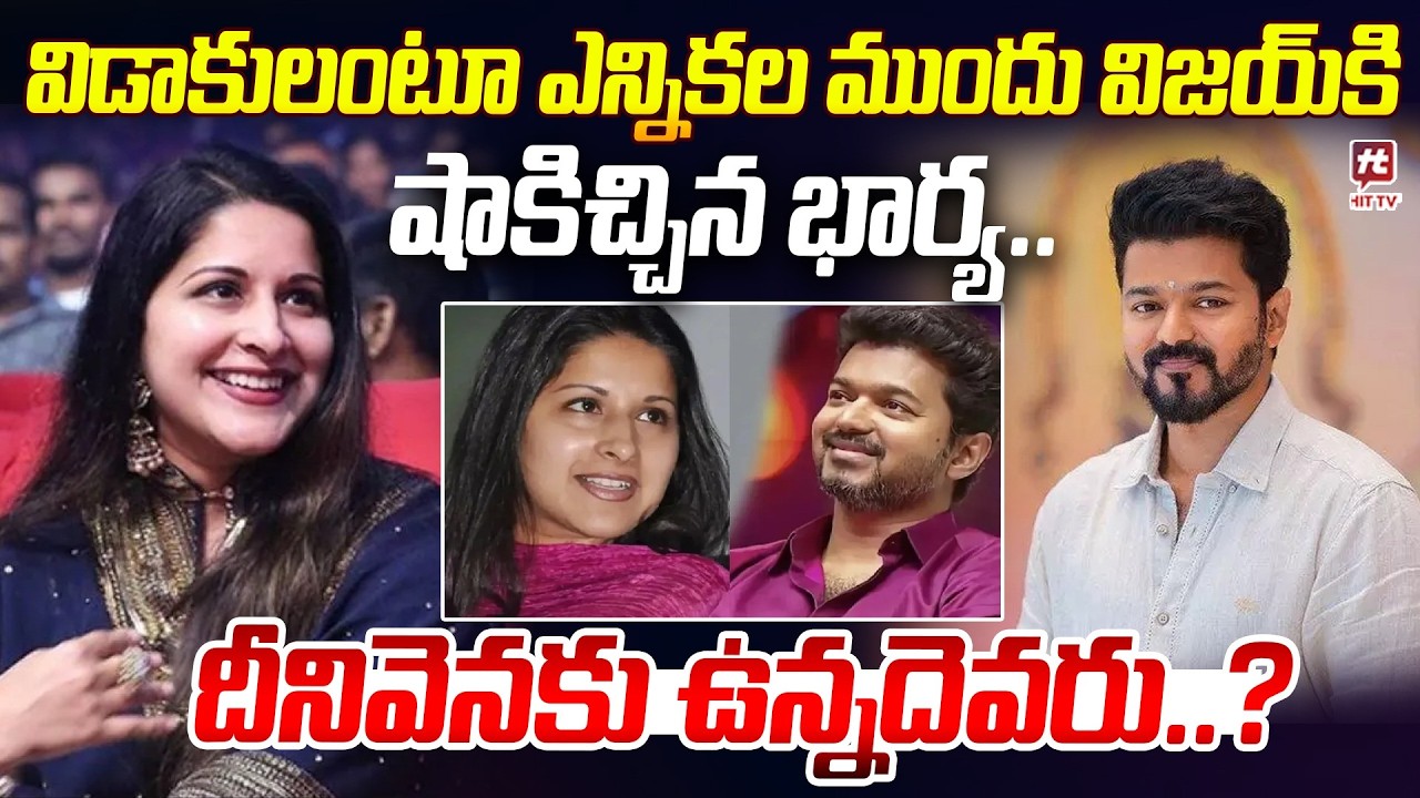 Vijay Thalapathy and Sangeetha Divorce Latest Updates @Hit TV MIX