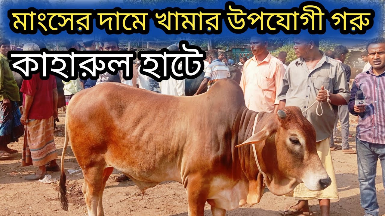 @২৩/১১/২৫