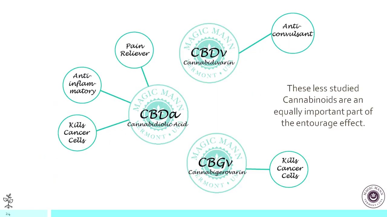 cannabis education slideshow