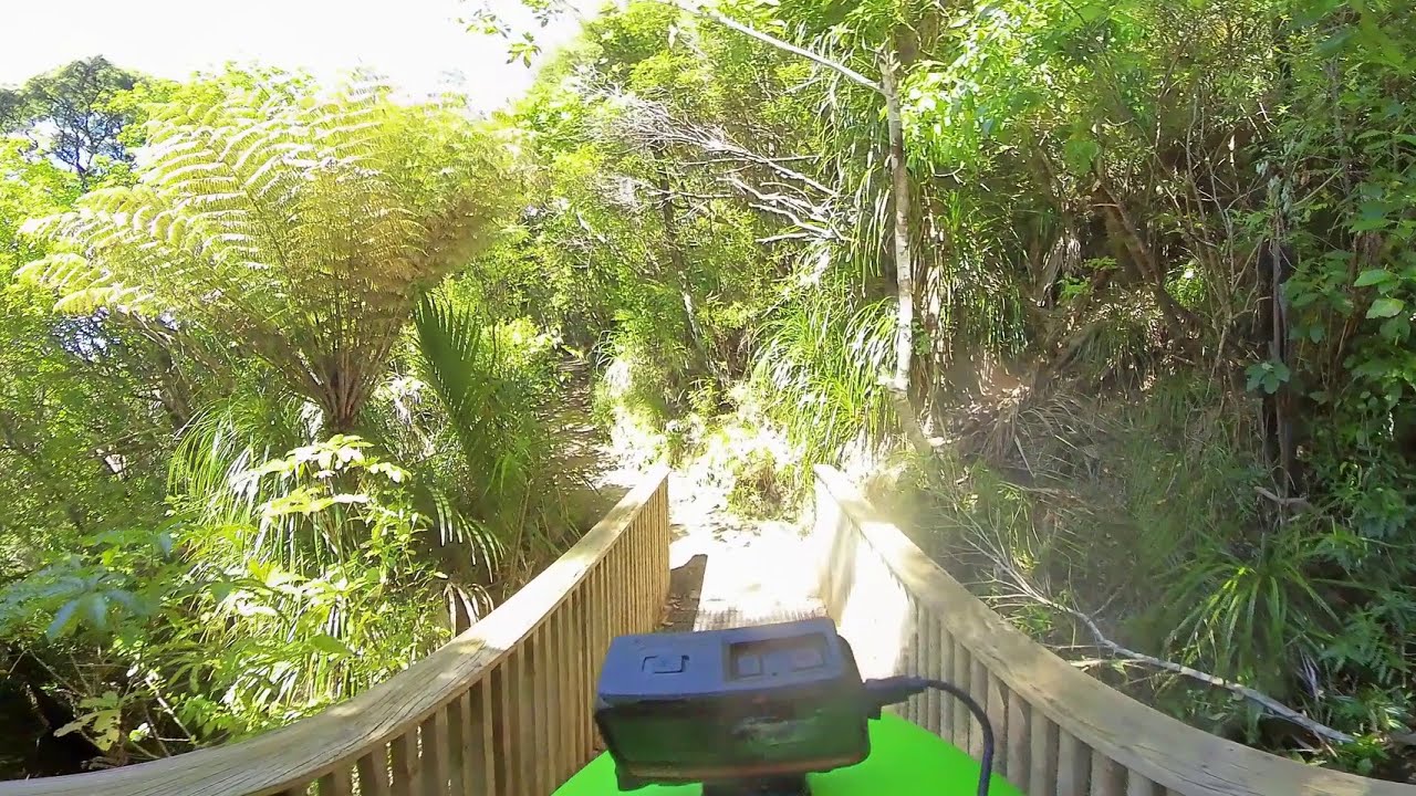 Amazing New Zealand native forest walk in Karekare ranges and Kitekite Falls with an awesome music!