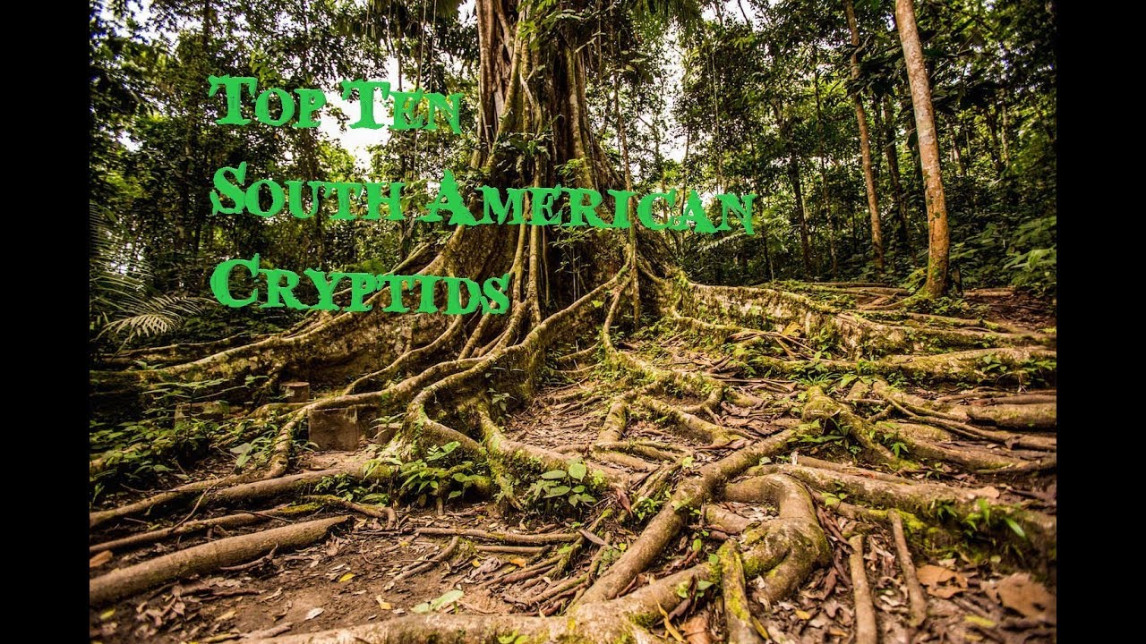 Top  Ten South American Cryptids