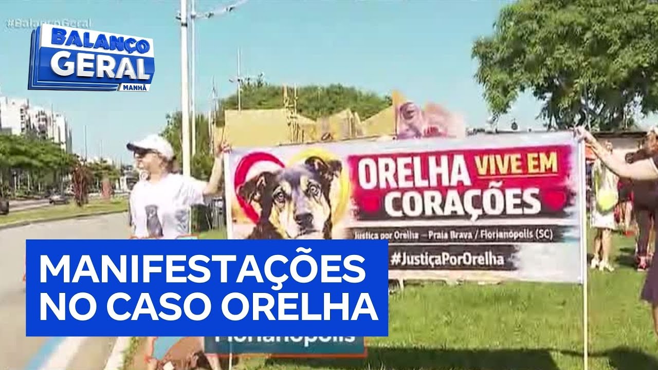 Manifestantes pedem justiça pela morte do cão Orelha em protestos pelo Brasil