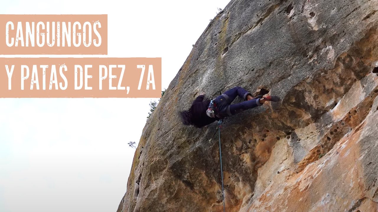 7A Canguingos y patas de pez · Púrpura · Patones · Madrid, Spain