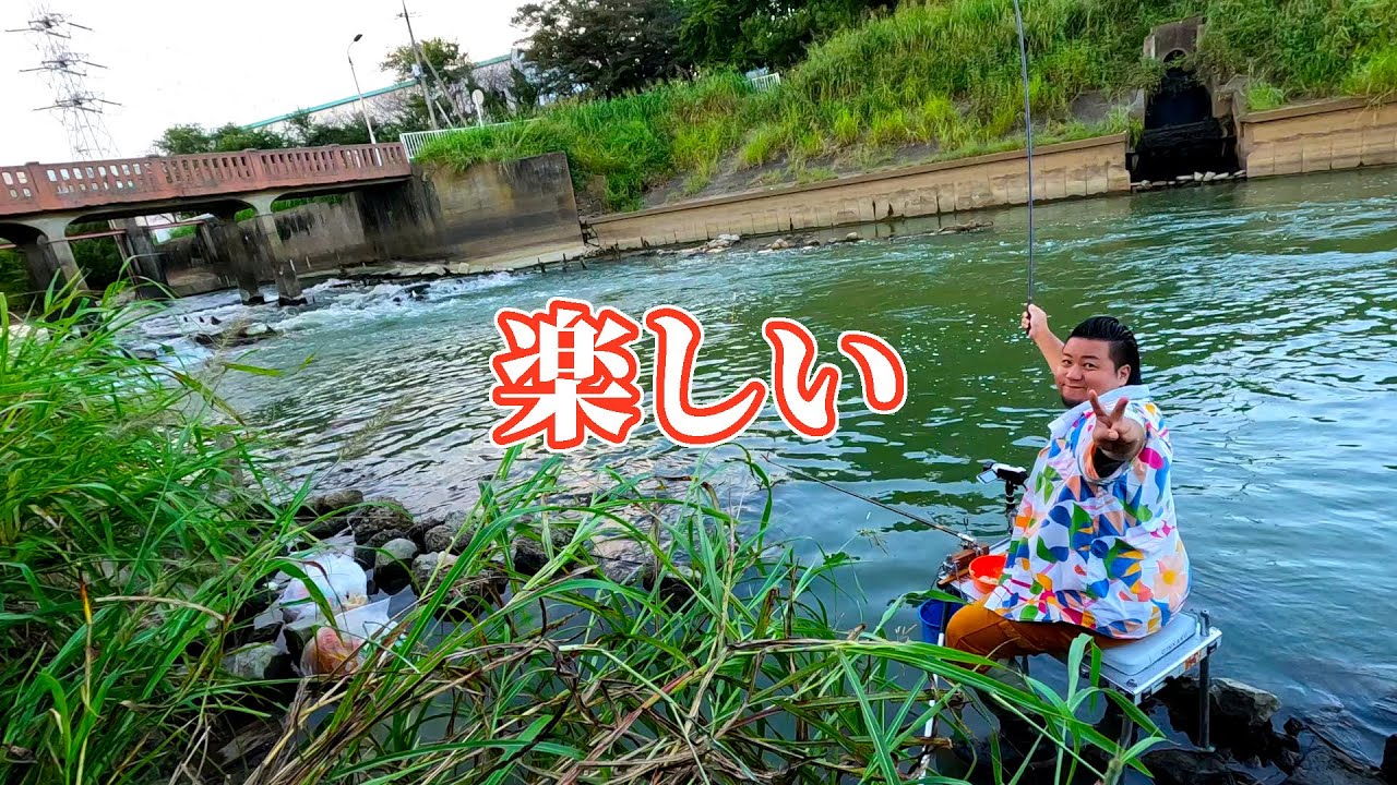 Поймайте всю рыбу у плотины, где рыба больше не сможет плыть вверх по течению!