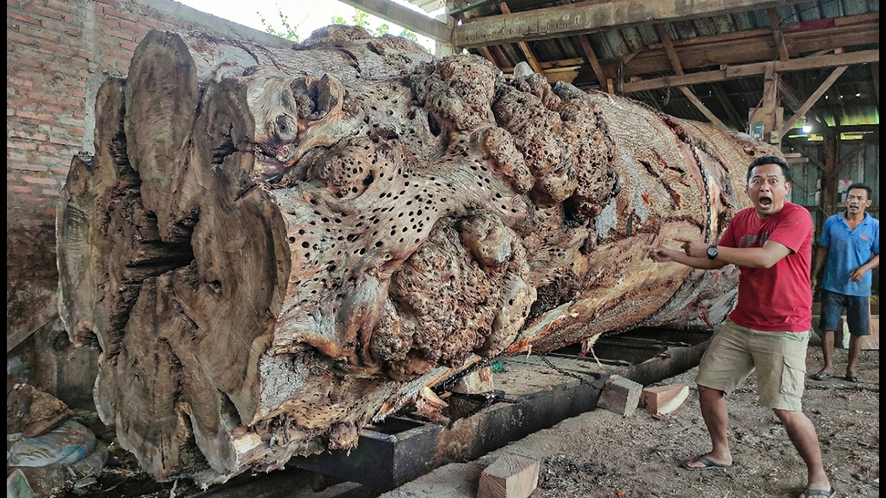 HORROR MOMENT! Bomber Saw Cracks Giant Timber With Brutal Force at the Sawmill
