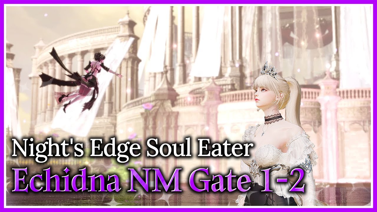 [Lost Ark]1621 Night's Edge Soul Eater - Echidna Normal Gate 1-2