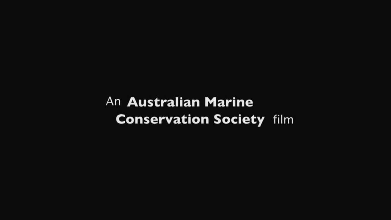 An Australian Marine Conservation Society film