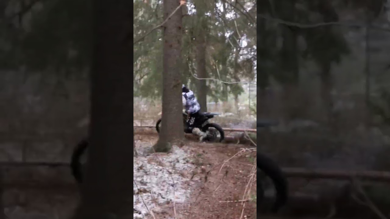 BSE Z7 280 мото часов эндуро тренировка по лесу. #bse #hardenduro #EnduroSKT