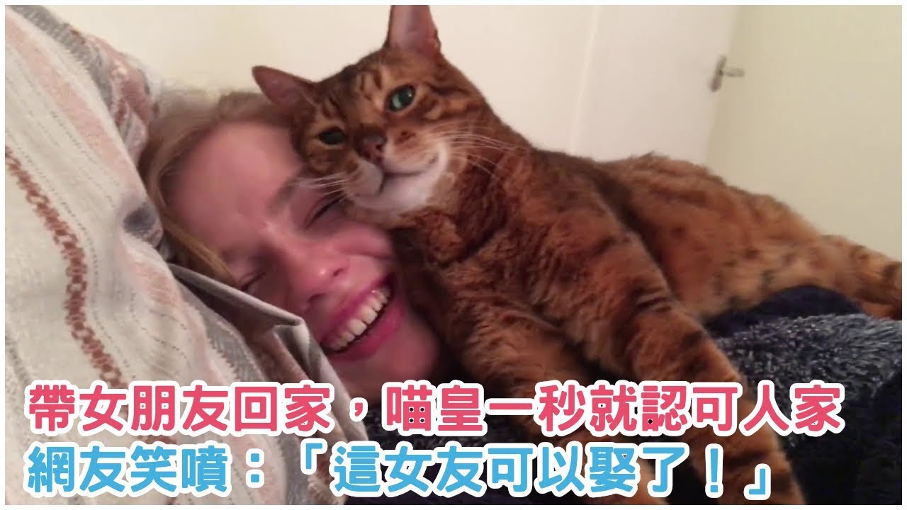 帶女朋友回家，喵皇才見一秒就認可人家...網友笑噴：「這女友可以娶了！」