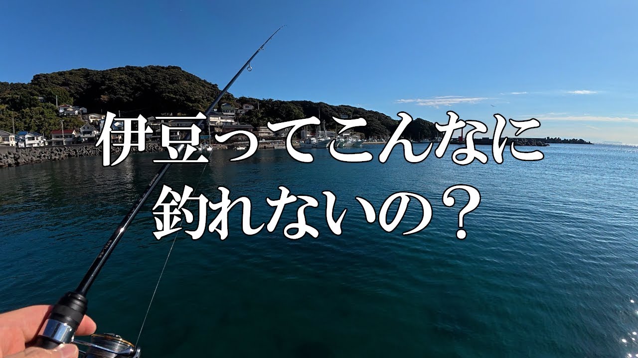 東伊豆、初場所巡り釣行ロードトリップ（2025年11月下旬）