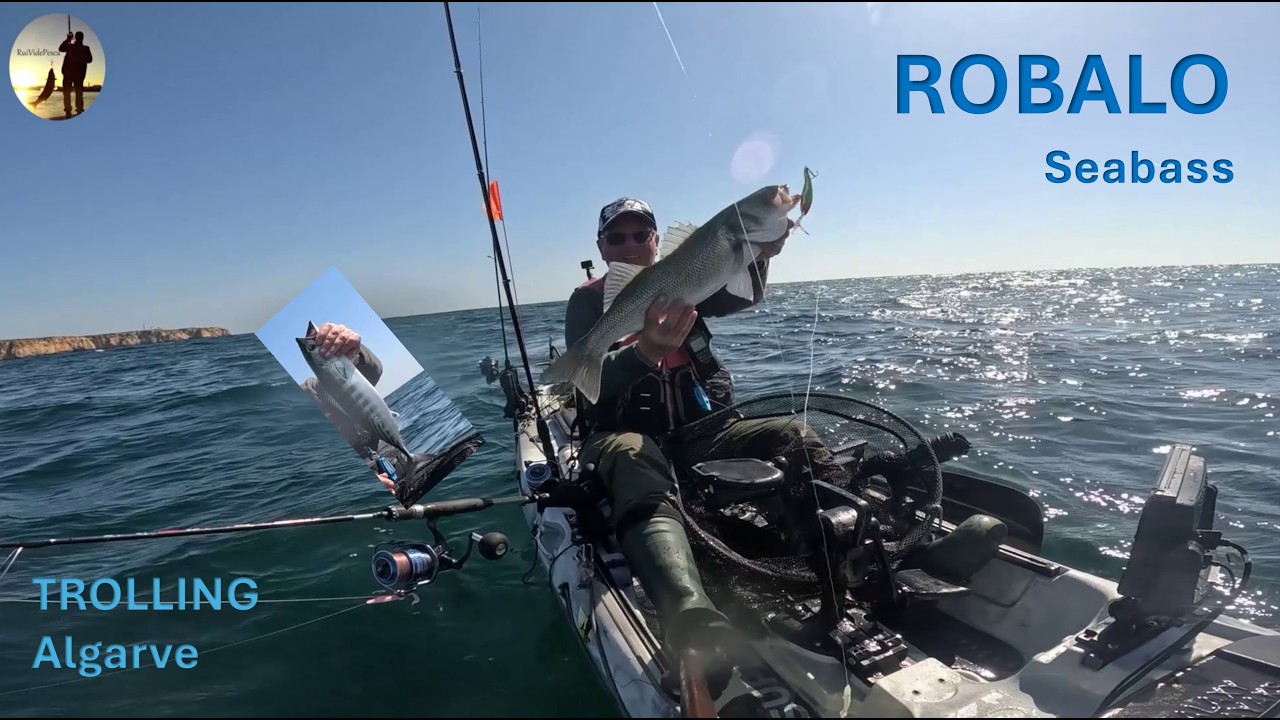 ROBALO Seabass ao trolling no Algarve