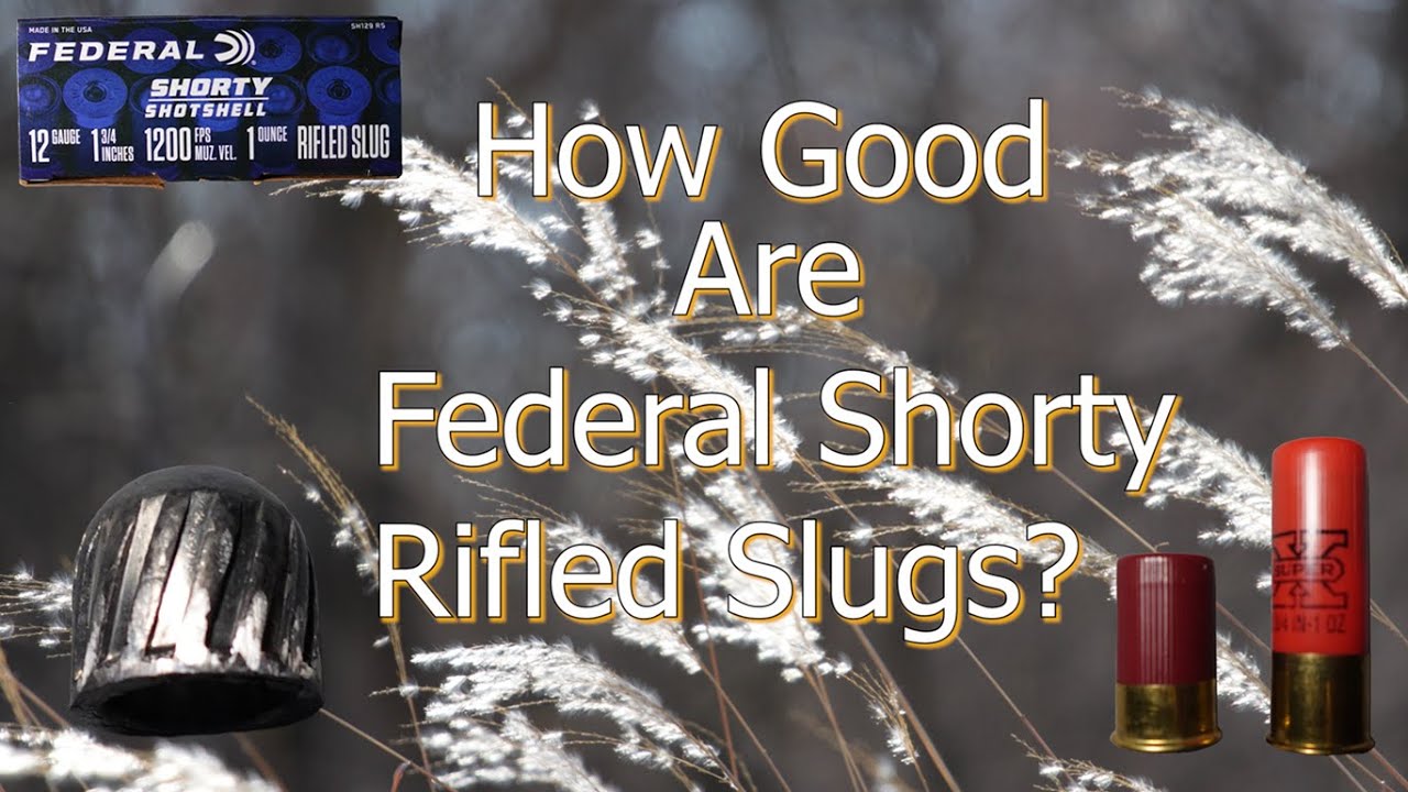 How Good are Federal Shorty Rifled Slugs?