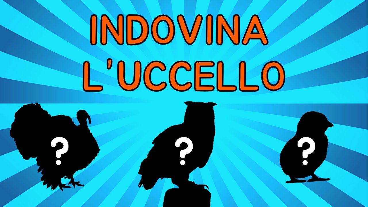 🦉 Indovina l'Uccello dalla Sagoma 🦜
