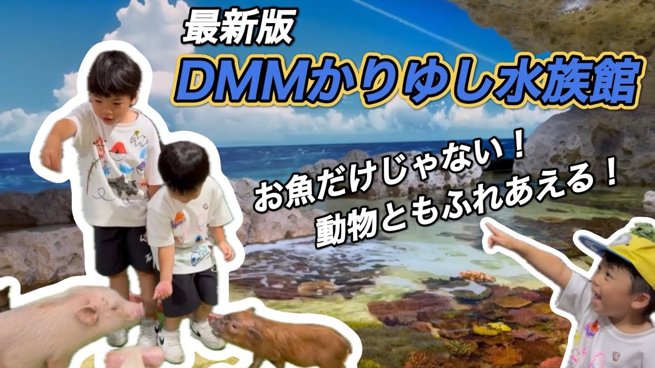 沖縄旅行】【DMMかりゆし水族館】近い！触れる！エサやれる！体験型水族館