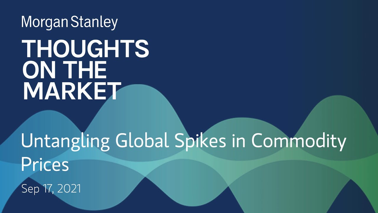 Special Episode: Untangling Global Spikes in Commodity Prices