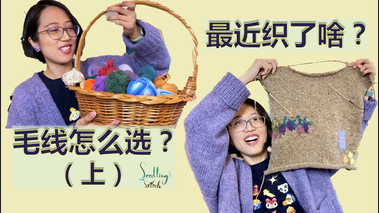 毛线店店员教你选毛线 Everything I learned about yarn from working at LYS | Chinese Knitting Podcast (3)