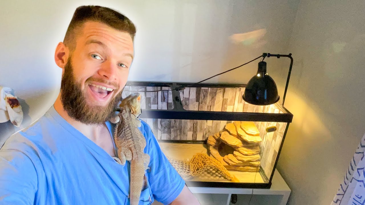 Upgrading my Bearded Dragon's Enclosure! Simple and Easy Setup