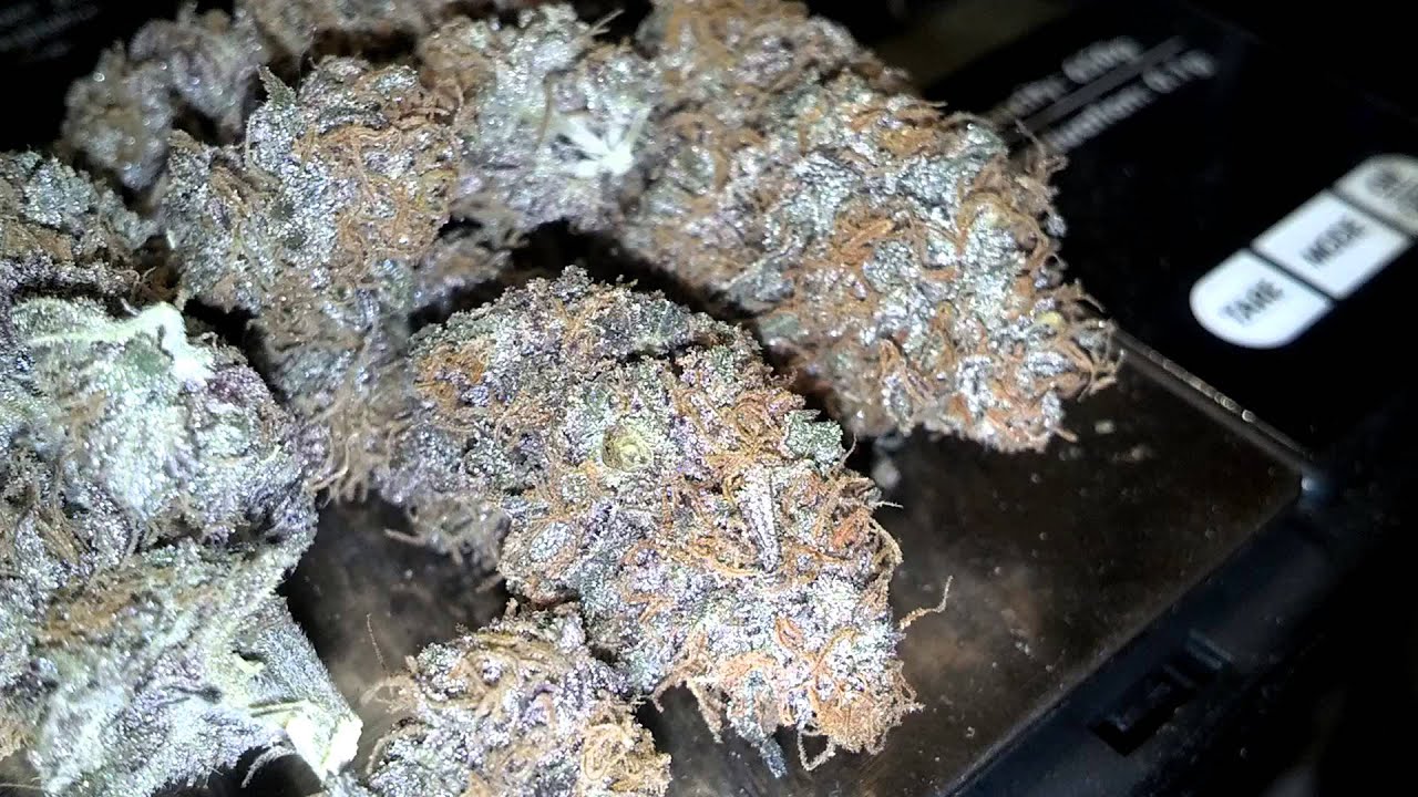 CF's GooBerry #1 [ShowCase]