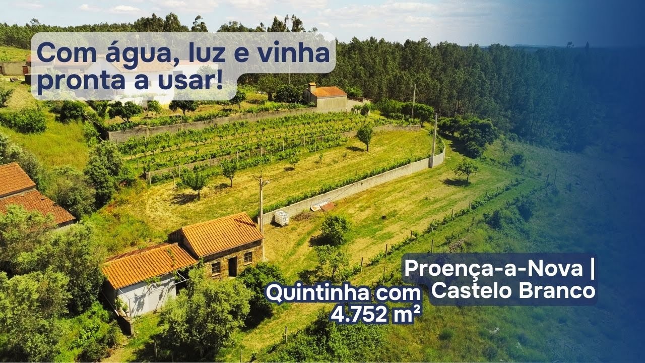 65.000€ | Quintinha em Proença-a-Nova - um Refúgio Perfeito !