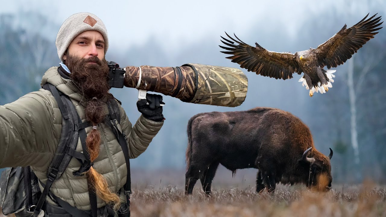 Cara a cara con el animal más grande de Europa