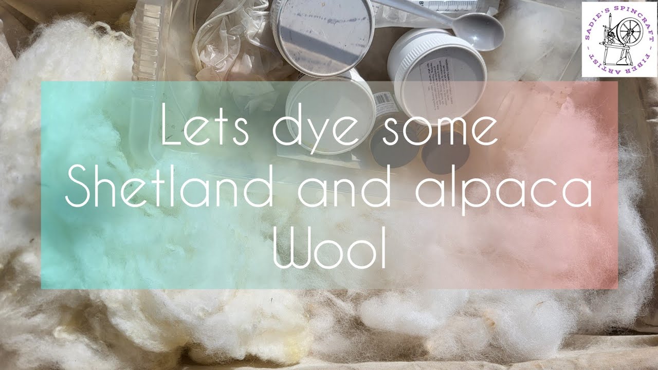 let's Dye some shetland and alpaca wool #spinning #dying #natural