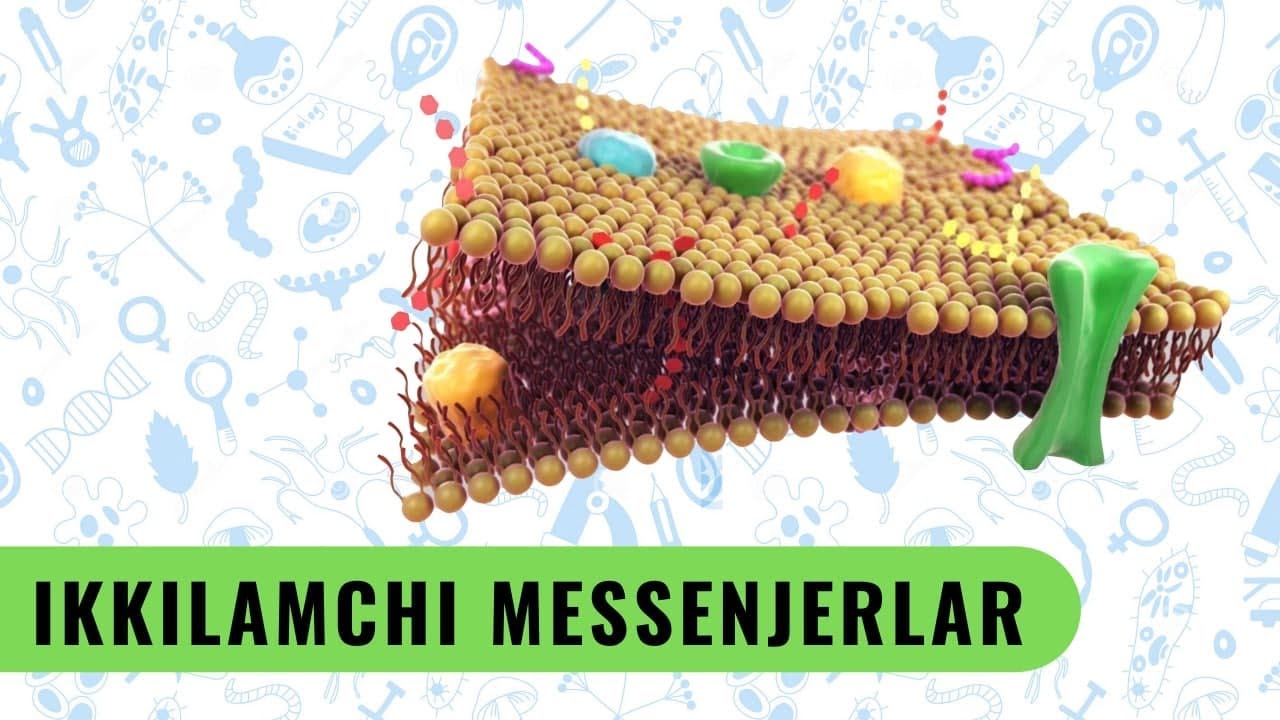 IKKILAMCHI MESSENJERLAR