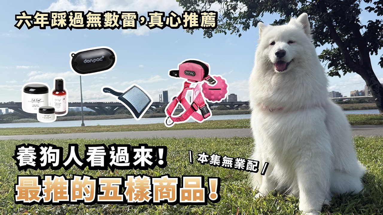 『養狗人看過來！最推的五樣商品』六年踩過無數雷，真心推薦！(薩摩耶多比Dobby is free)