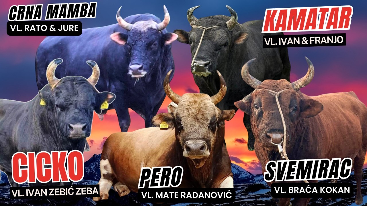 Šampioni Hrvatske i Balkana 2025