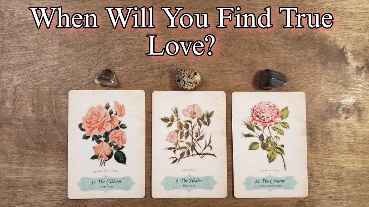 🥰💘 When Will You Find True Love? Pick A Card Love Reading