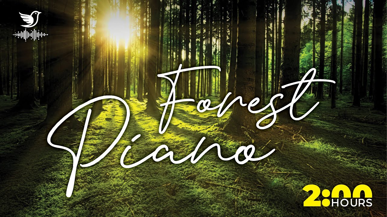 Forest Peace – Soft Piano in a Quiet Woodland for Deep Relaxation (2 Hours)