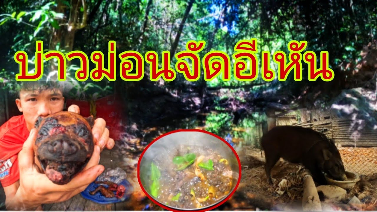 บ่าวม่นจัดอืเหัน2 กุมภาพันธ์ ค.ศ. 2026