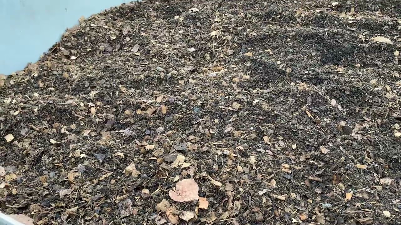 Porcentajes de materiales en la cama. (ARENA, ASERRIN,HOJA DE ENSINO y ARENA)