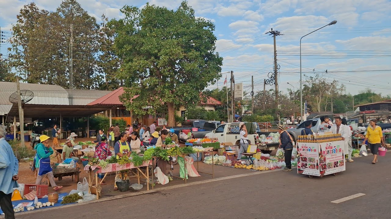ตลาดนัดบ้านป่าข่าชุมชน ตำบลสองคอน อำเภอโพธิ์ไทร จังหวัดอุบลราชธานี 