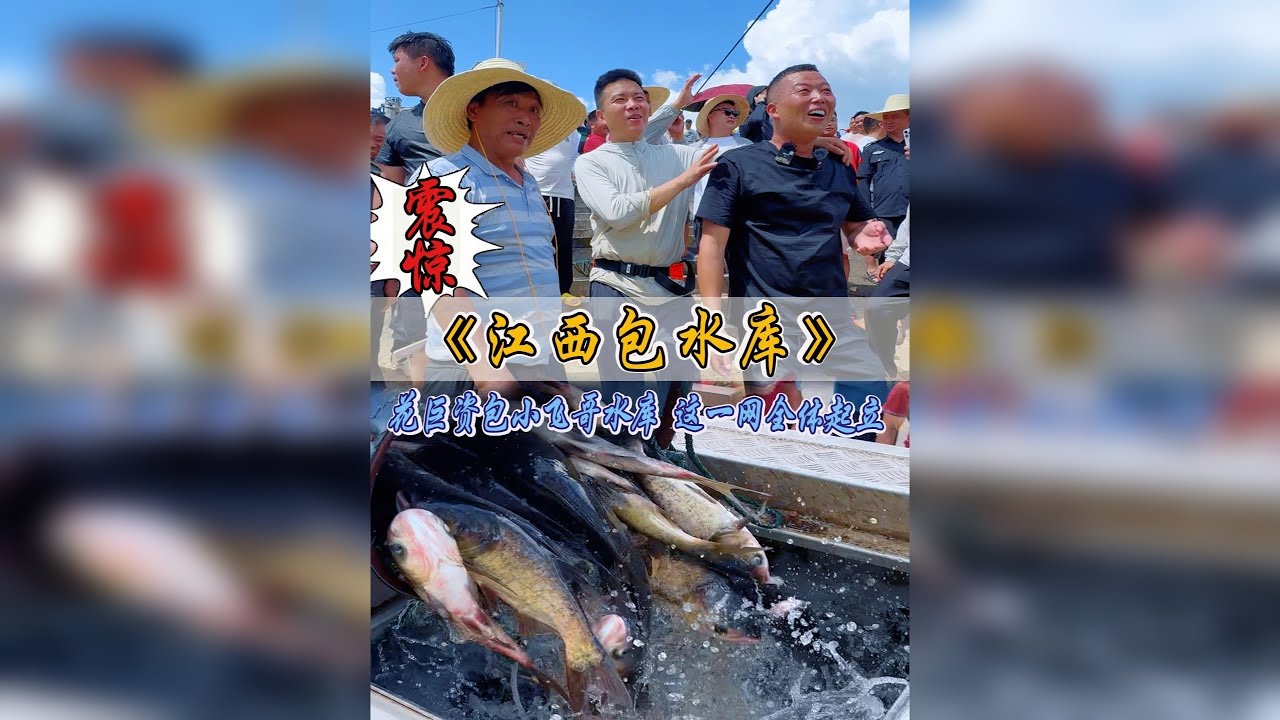 花巨资包下小飞哥鱼塘！本以为是翻车，谁料强子举动让我肃然起敬