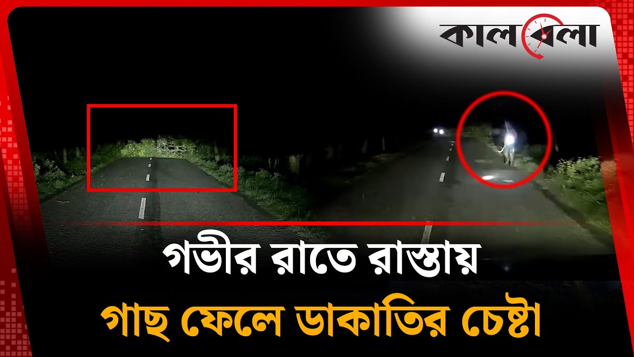 চাঁপাইনবাবগঞ্জে গভীর রাতে রাস্তায় গাছ ফেলে ডা'কা'তি'র চেষ্টা | Robbery | Chapainawabganj | Kalbela