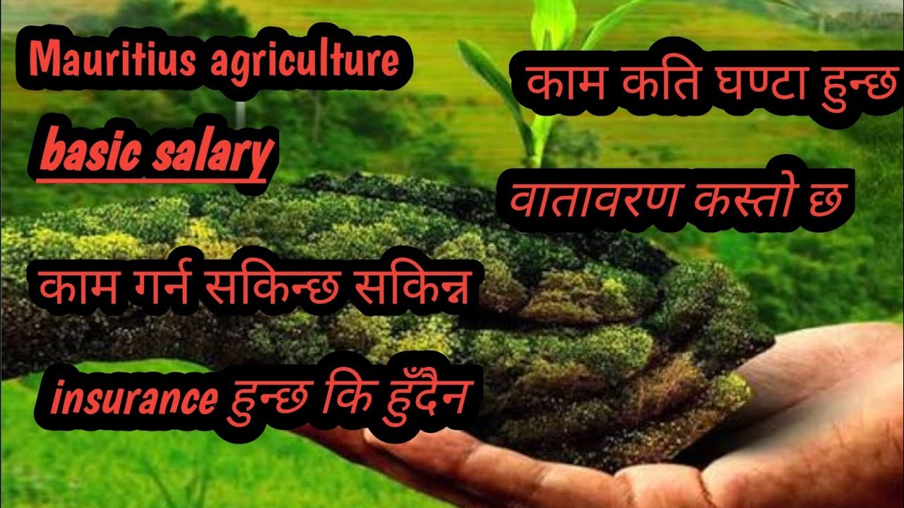 Mauritius agriculture /Mauritius information @Roshanbhujel8450 